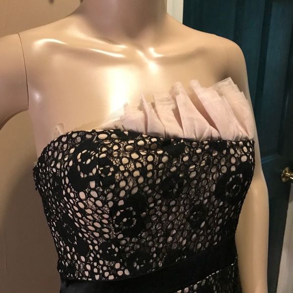 NWOT Modcloth | Mystic | Crochet Overlay Black Dress | Pink Ruffle Above Bodice - Picture 2 of 11